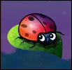 net-frog004