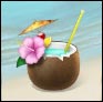 net-tiki003