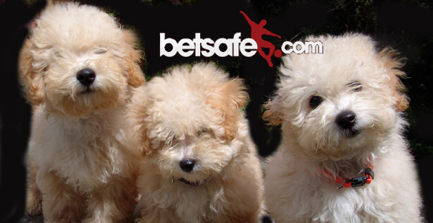 pupies-jan-2005-082